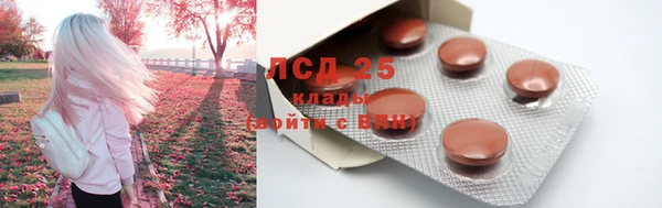 spice Осинники