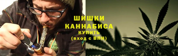 spice Осинники