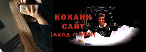 spice Осинники
