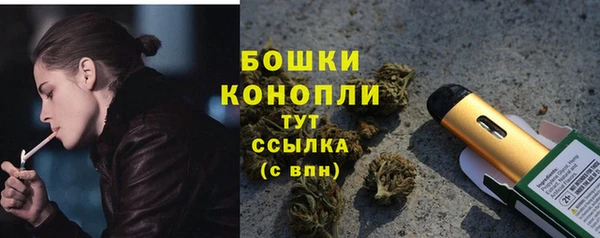 spice Осинники