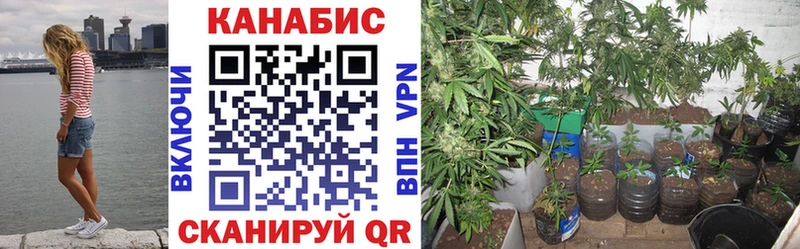 hydra ССЫЛКА  Багратионовск  Марихуана OG Kush  где купить наркотик 